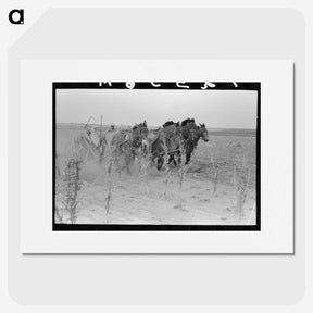 2-26_Russell-Lee_picture