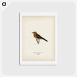 アートポストカード-Brambling
 - スヴェンスカ フォグラル Postcard.