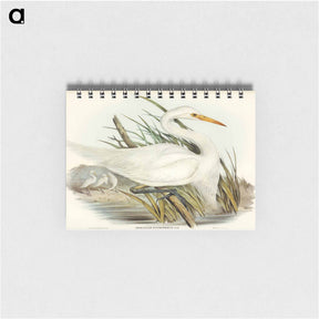アートメモ帳-Plumed Egret
 - オーストラリアの鳥 Memo.