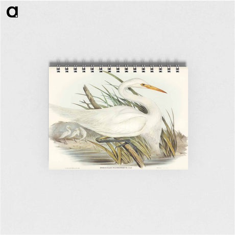 アートメモ帳-Plumed Egret
 - オーストラリアの鳥 Memo.