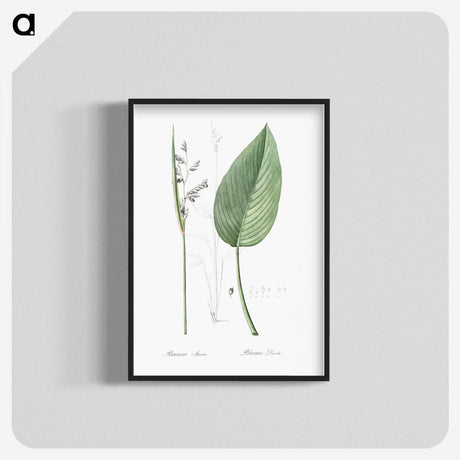 2-26_The-Lilies_blk-crop