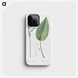 2-26_The-Lilies_phone