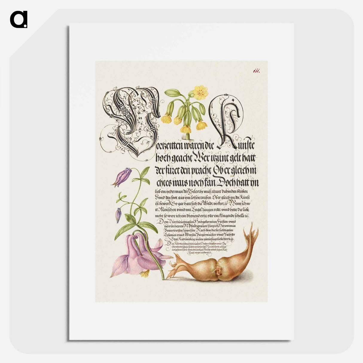 アートポスター-Cowslip, European Columbine, and Giant Filbert from Mira Calligraphiae Monumenta or The Model Book of Calligraphy
 - 書道のお手本 Poster.