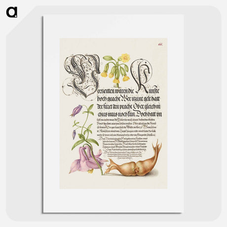 アートポスター-Cowslip, European Columbine, and Giant Filbert from Mira Calligraphiae Monumenta or The Model Book of Calligraphy
 - 書道のお手本 Poster.