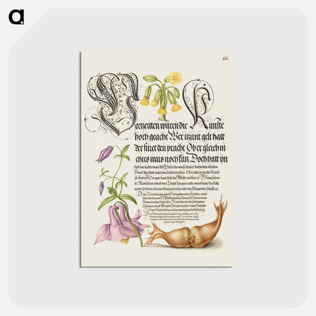 アートポストカード-Cowslip, European Columbine, and Giant Filbert from Mira Calligraphiae Monumenta or The Model Book of Calligraphy
 - 書道のお手本 Postcard.