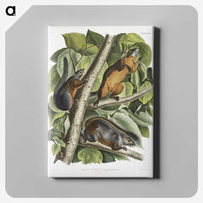 2-26_The-Viviparous-Quadrupeds_canvas