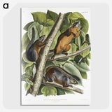 2-26_The-Viviparous-Quadrupeds_picture-crop
