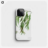 2-26_Treatise-on-Trees-and-Shrubs_phone