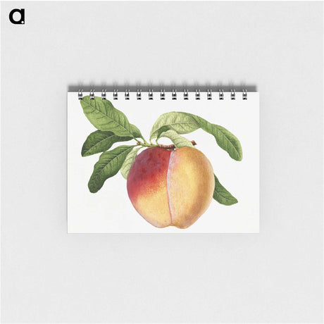 2-26_USDA-Watercolor-Fruit-Painting-Collection_memo