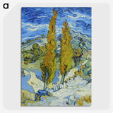 2-26_Vincent-van-Gogh_picture-crop