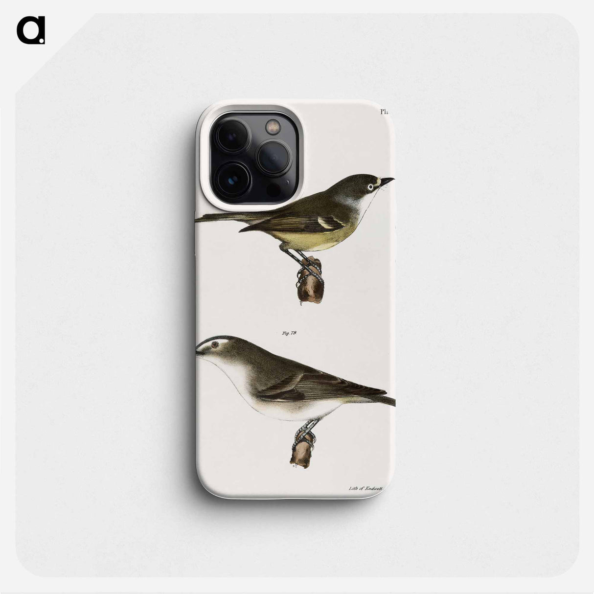 The White-eyed Greenlet (Vireo noveboracensis) 79. The Red-eyed Greenlet (Vireo olivaceus) - ニューヨークの動物学 Phone Case.