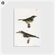 2-26_Zoology-of-New-York_postcard
