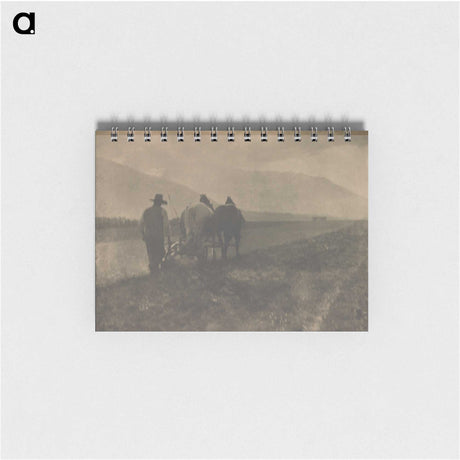 2-27_Alfred-Stieglitz_memo
