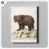 European brown bear - アンセルムス ボエティウス デ ブート Canvas.