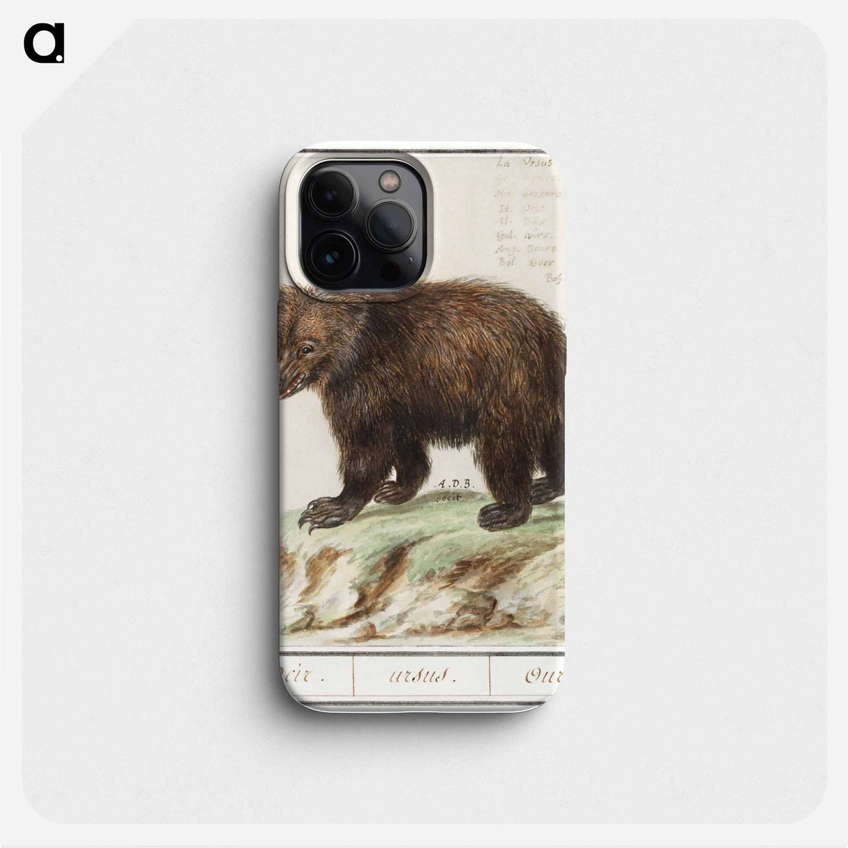 European brown bear - アンセルムス ボエティウス デ ブート Phone Case.
