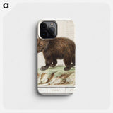 European brown bear - アンセルムス ボエティウス デ ブート Phone Case.