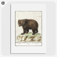 2-27_Anselmus-Boetius-de-Boodt_picture