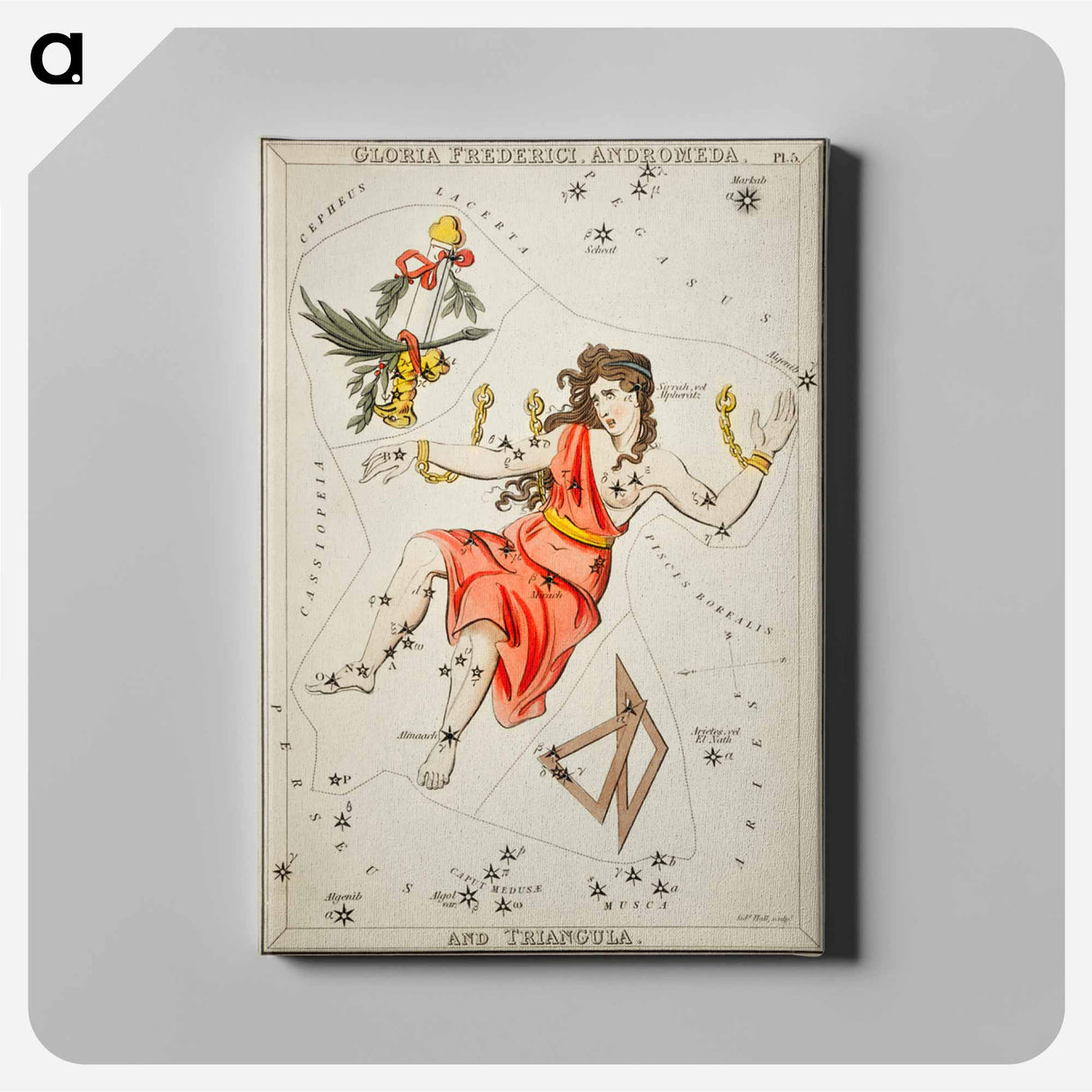 Gloria Frederici, Andromeda - アンティーク地図 Canvas.