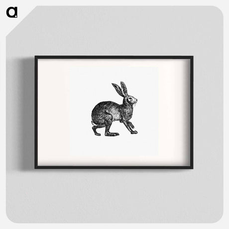 アートポスター-Victorian Rabbit Engraving
 - 大英図書館 Poster.