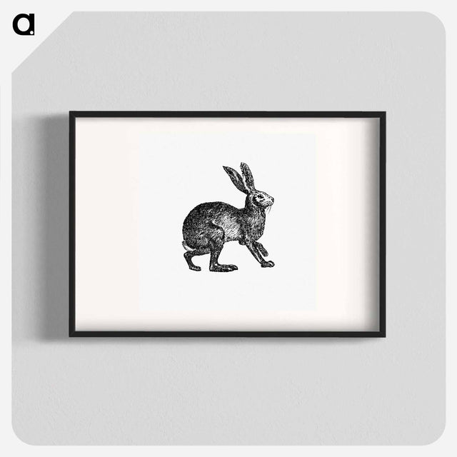 アートポスター-Victorian Rabbit Engraving
 - 大英図書館 Poster.