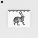 アートメモ帳-Victorian Rabbit Engraving
 - 大英図書館 Memo.