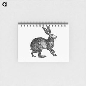 アートメモ帳-Victorian Rabbit Engraving
 - 大英図書館 Memo.