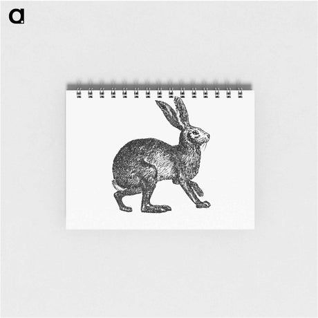 アートメモ帳-Victorian Rabbit Engraving
 - 大英図書館 Memo.