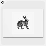 アートポスター-Victorian Rabbit Engraving
 - 大英図書館 Poster.