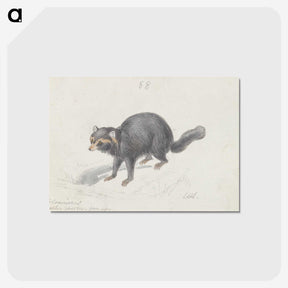 2-27_Charles-Hamilton-Smith_postcard
