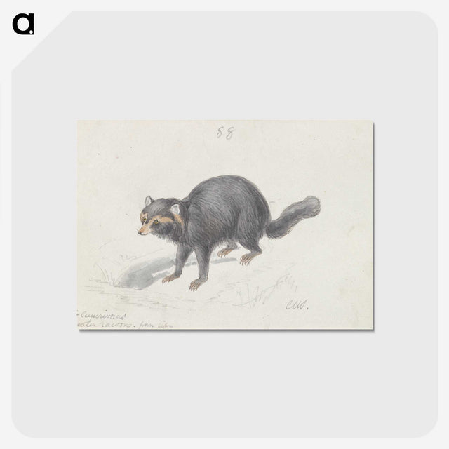 2-27_Charles-Hamilton-Smith_postcard