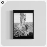 2-27_Dorothea-Lange_blk-crop