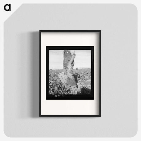 2-27_Dorothea-Lange_blk