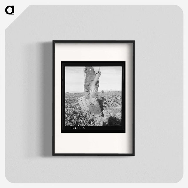 2-27_Dorothea-Lange_blk