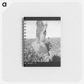アートメモ帳-Untitled photo, possibly related to: Migratory field worker pulling carrots. Imperial Valley, California - ドロテア ラング Memo.