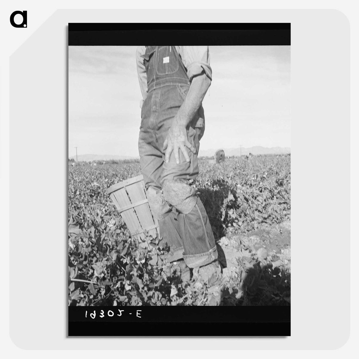 2-27_Dorothea-Lange_picture-crop