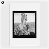 Untitled photo, possibly related to: Migratory field worker pulling carrots. Imperial Valley, California - Dorothea Lange Poster.