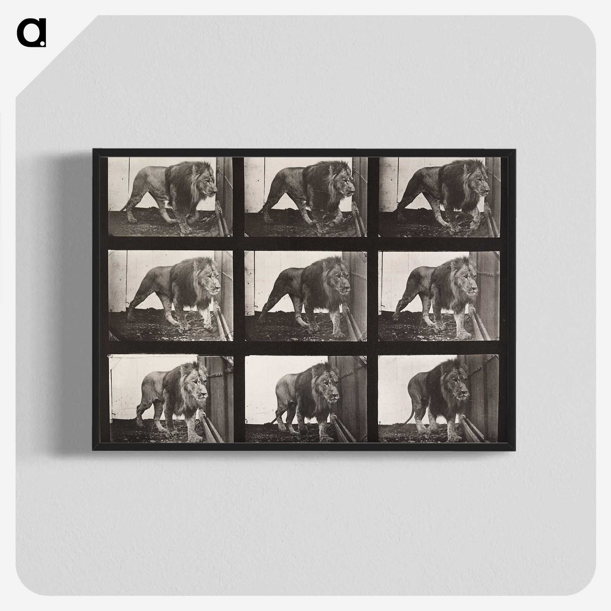2-27_Eadweard-Muybridge_blk-crop