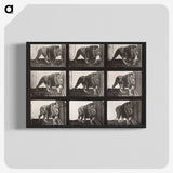 2-27_Eadweard-Muybridge_blk-crop