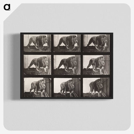 2-27_Eadweard-Muybridge_blk-crop
