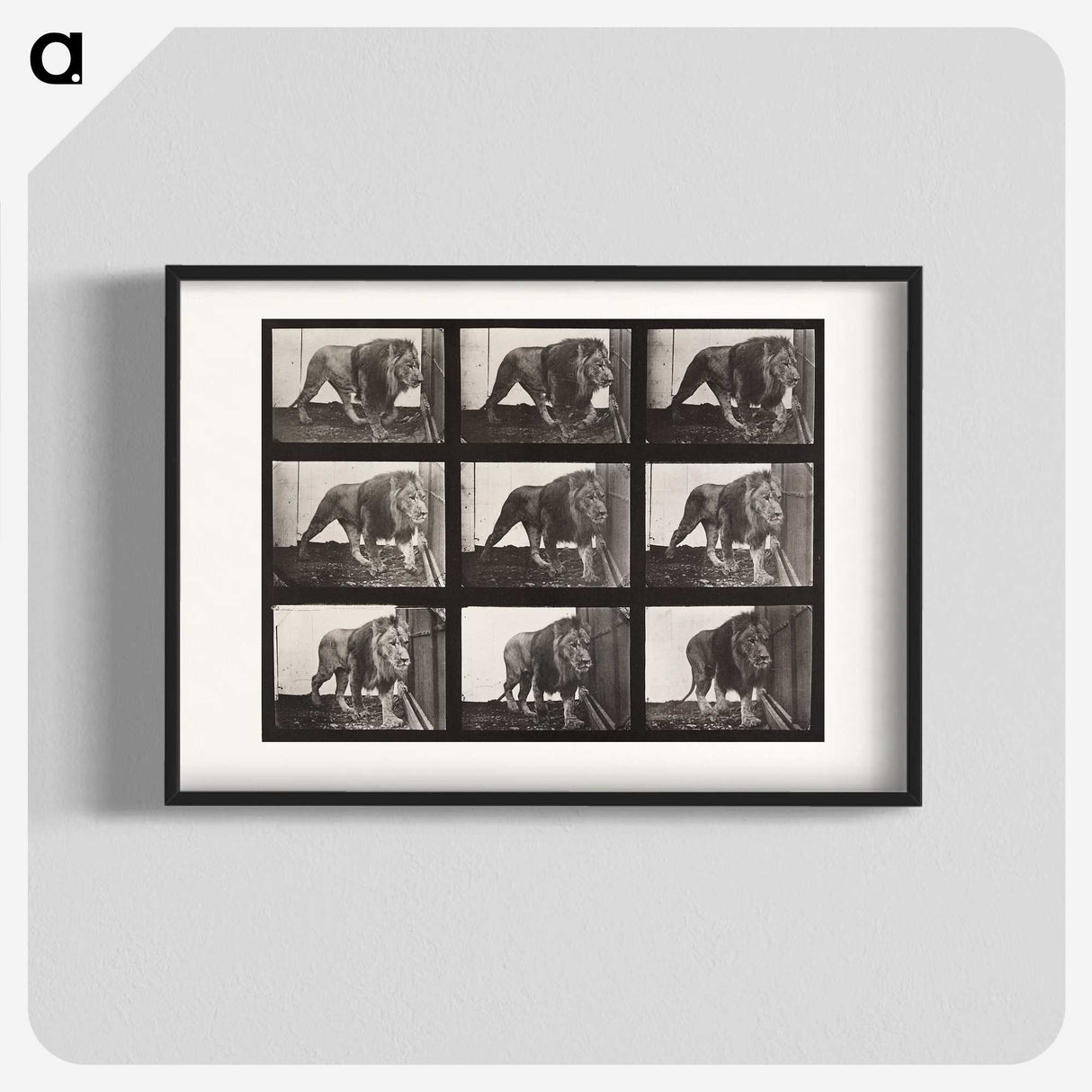 2-27_Eadweard-Muybridge_blk