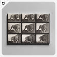 2-27_Eadweard-Muybridge_canvas