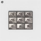 2-27_Eadweard-Muybridge_memo