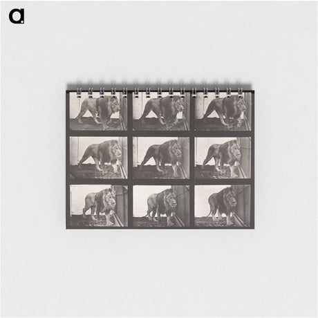 2-27_Eadweard-Muybridge_memo