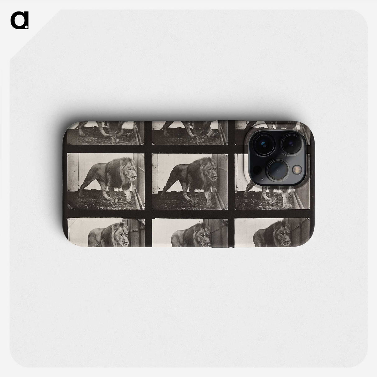 2-27_Eadweard-Muybridge_phone