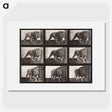 2-27_Eadweard-Muybridge_picture