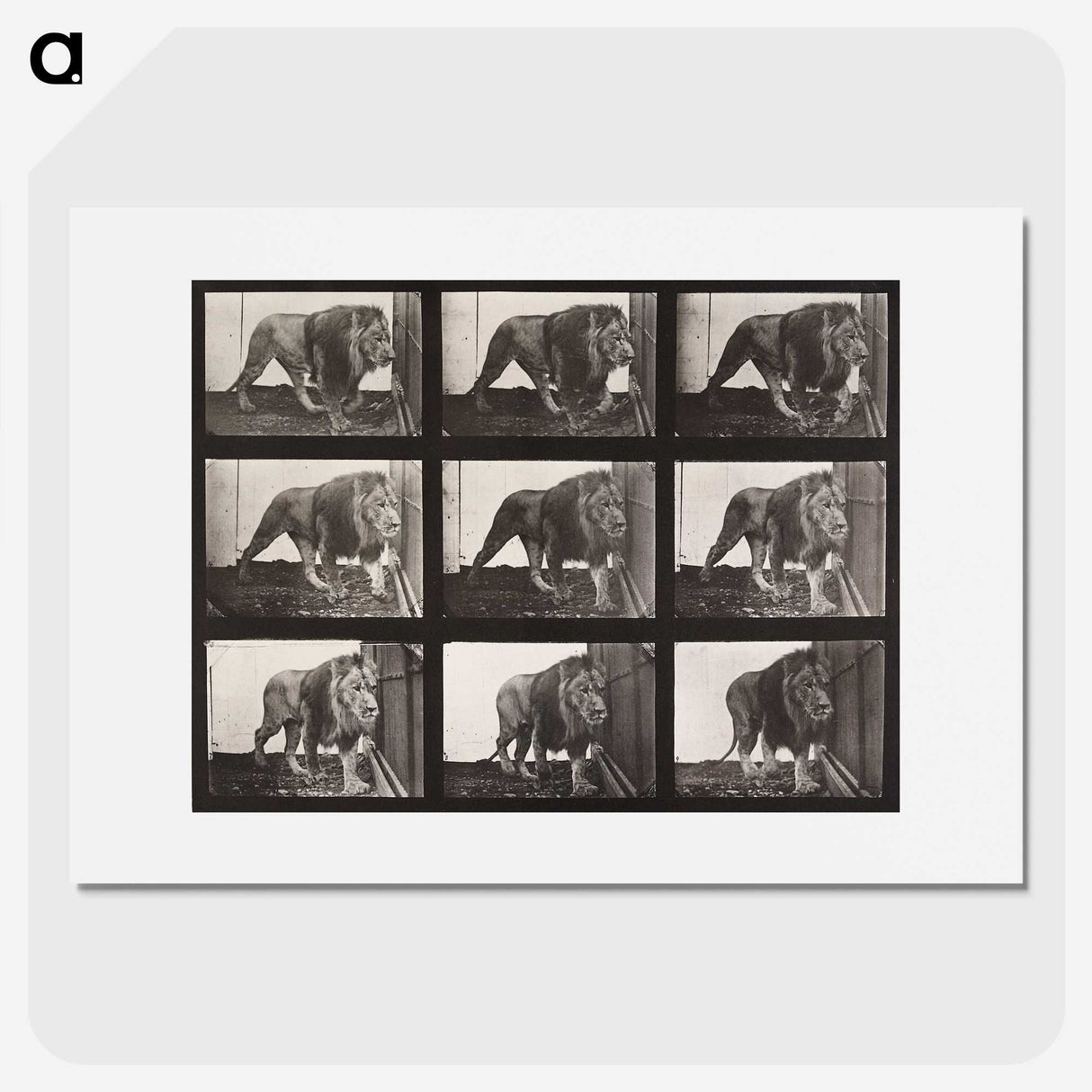 2-27_Eadweard-Muybridge_picture