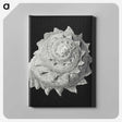 2-27_Ernst-Haeckel_canvas