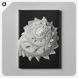 2-27_Ernst-Haeckel_canvas