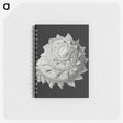 2-27_Ernst-Haeckel_memo