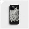 2-27_Ernst-Haeckel_phone